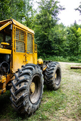 Forest tractor for logging after sawing trees, heavy forestry equipment