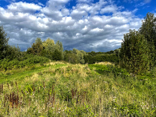 Obraz premium Wild grasses, trees, and a cloudy sky near, Shipley, Bradford, UK