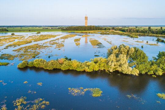 Aerial view of flooded floodplains of river Maas with submerged trees during a period of high water in summer, Megen, Noord-Brabant, The Netherlands.