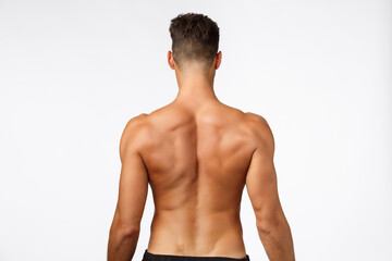 Attractive sportsman rear view, masculine strong back, athlete posing from behind, showing perfect body, muscles and abs, standing white background, promote workout, gym membership and fitness