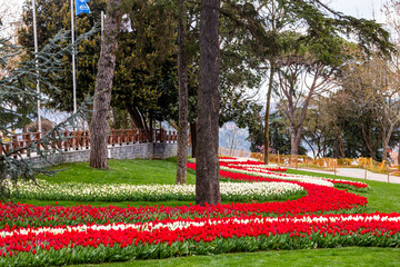 Naklejka premium Emirgan Grove with many flower species, 2021-31 March, Istanbul, Turkey