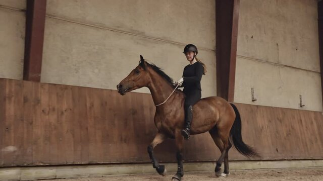 Young Woman Riding Horse Bareback In Paddock