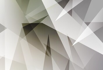 Fototapeta premium Light Gray vector background with polygonal style.
