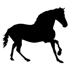 Fototapeta na wymiar Vector animal illustration. Black silhouette of a horse on a white background. 