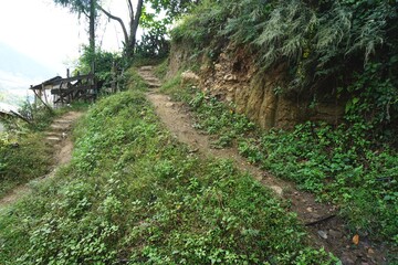 Steep dirt trail up a secluded hill with trees ahead