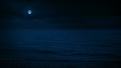 Wide Beach Landscape In The Moonlight