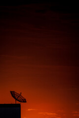 Antena parabólica (satellite dish)