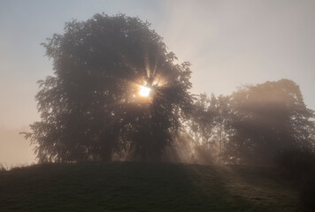Sunrise on a beautiful foggy morning in the English Lake district.A sunburst is shining through the trees.