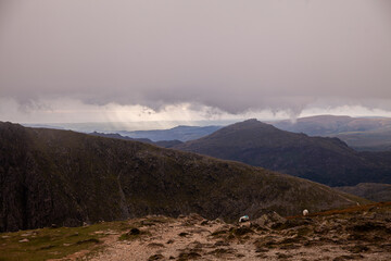 View from the top of the Old Man of Coniston in the English Lake district in Cumbria.Popular for fell walking.