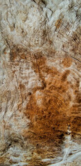 Natural abstract wood texture, have textured by wind, storm, rain, and sun