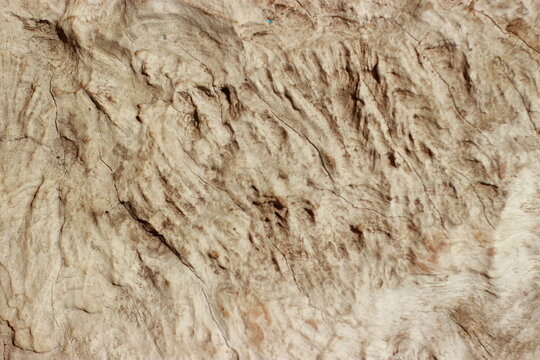 Natural abstract wood texture, have textured by wind, storm, rain, and sun