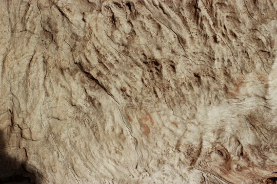 Natural abstract wood texture, have textured by wind, storm, rain, and sun