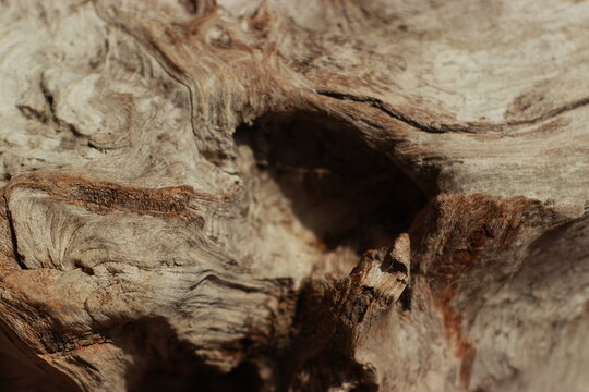 Natural abstract wood texture, have textured by wind, storm, rain, and sun