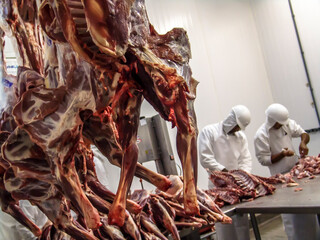 Sheep meat processing in food industry in Brazil