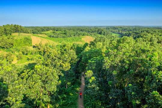 Man in red shirt walking on pathway in a beautiful hilly landscape in Asia
