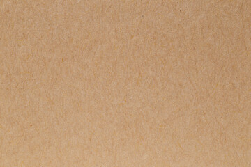 Fototapeta na wymiar Brown eco recycled kraft paper sheet texture cardboard background.