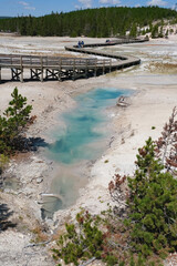 イエローストーン国立公園のノリスガイザー（Norris Geyser）のプール