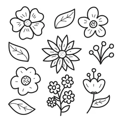 Foto op Plexiglas Bloemen doodle collectie met schattig ontwerp geïsoleerd op een witte achtergrond © Muhamad