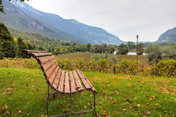 Bench with view over vineyard, valley of river Etsch