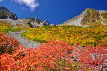 涸沢カールの紅葉と穂高連峰