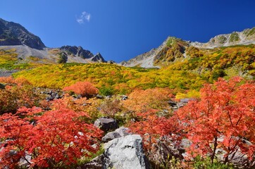 涸沢カールの紅葉と穂高連峰