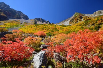 涸沢カールの紅葉と穂高連峰