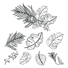 Beautiful spring line art leaves bouquet