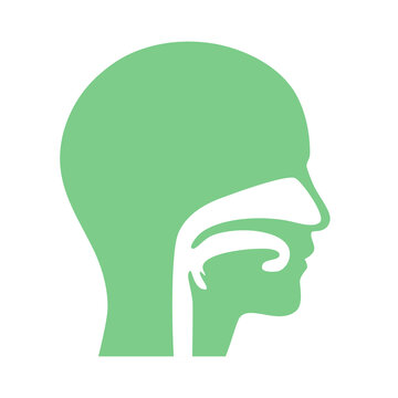 recommend clip art: Otolaryngology clinic concept