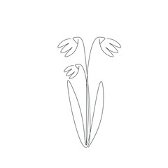 Spring flower snowdrop line drawing vector illustration