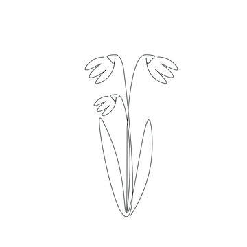 recommend clip art: Spring flower snowdrop line drawing vector illustration
