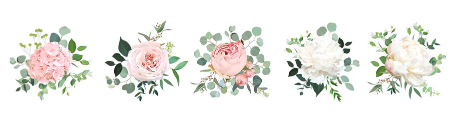 Blush pink garden roses, ranunculus, hydrangea, peony flowers vector design bouquets © lavendertime