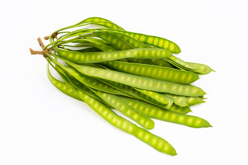 Young fruit of Leucaena leucocepphala on white background.