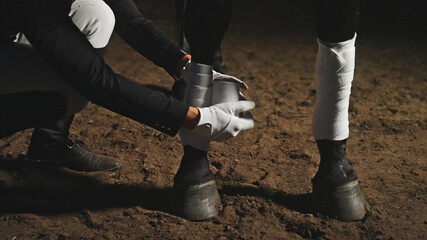 an unknown person with gloves in the dark bandages a horse's legs. High-quality photo