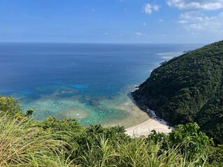 南国の美しいビーチと海