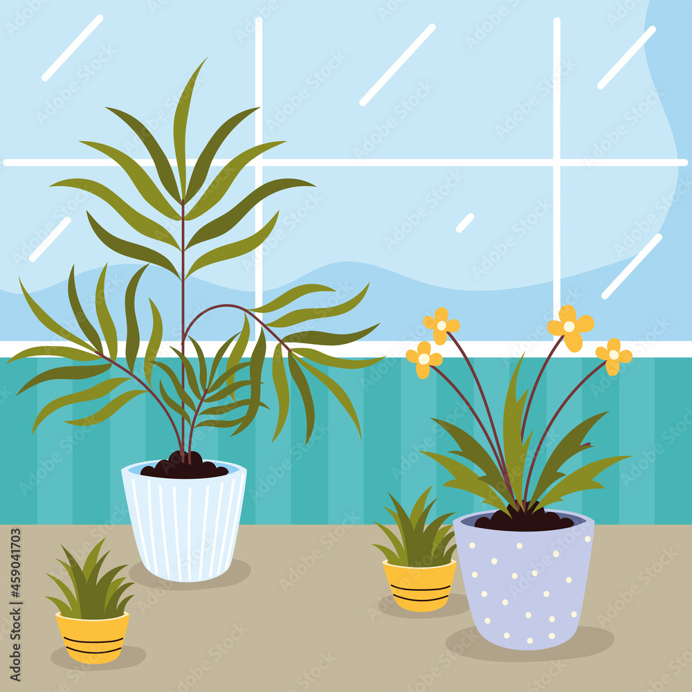 Wall mural houseplants care at home