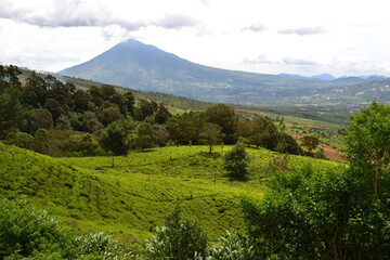 Fototapeta premium landscape with clouds