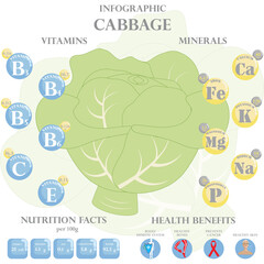 Шаблон Food Infographic