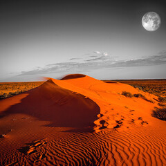 Australian Outback at desert