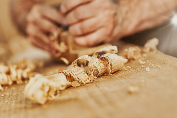 Coils of fresh wood shavings on a woodworking workbench