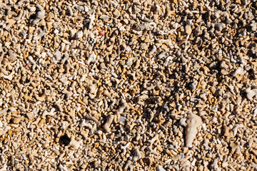 Shells and coral texture. Extraordinary Coral beach in county Galway, Ireland. Warm color. Nature background