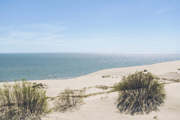sand dunes and Baltic sea view