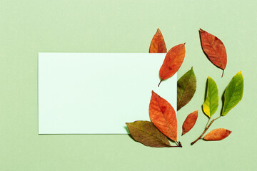 Autumn composition with empty white paper for text and red orange autumn leaves on pastel green