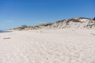 Fototapeta na wymiar sand dunes and hills of curonian spit near sea