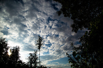 雨上がりの秋空