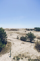 view of Vysota Efa at curonian spit