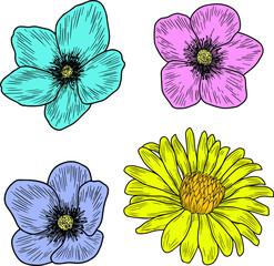 Hand drawn vector flowers isolated on white