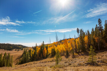 Autumn mountains