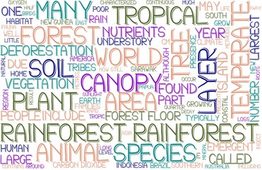 Rainforest Wordcloud Banner, Wallpaper, Background, Book Cover, Wordart