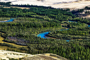 The Chuy River is surrounded by a coniferous forest. Kosh-Agachsky district of the Altai Republic, Russia