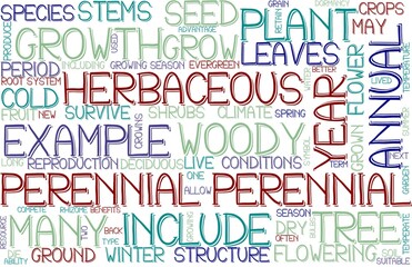 Perennial Wordcloud Banner, Wallpaper, Background, Book Cover, Wordart